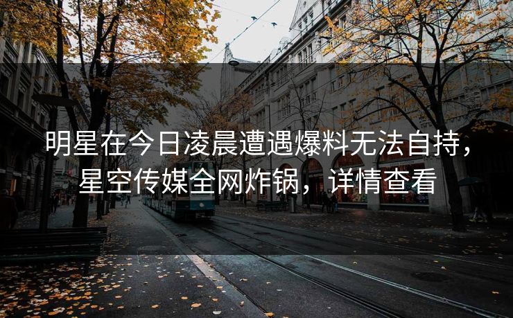 明星在今日凌晨遭遇爆料无法自持，星空传媒全网炸锅，详情查看