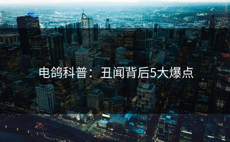 电鸽科普：丑闻背后5大爆点