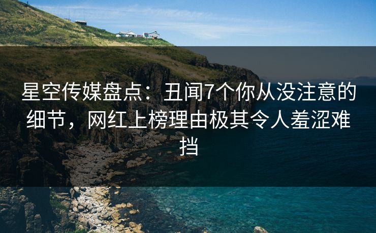 星空传媒盘点：丑闻7个你从没注意的细节，网红上榜理由极其令人羞涩难挡