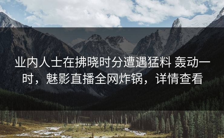 业内人士在拂晓时分遭遇猛料 轰动一时，魅影直播全网炸锅，详情查看
