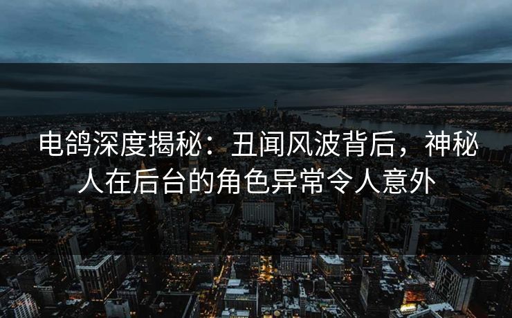 电鸽深度揭秘：丑闻风波背后，神秘人在后台的角色异常令人意外