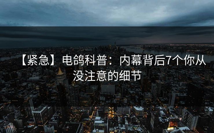 【紧急】电鸽科普：内幕背后7个你从没注意的细节