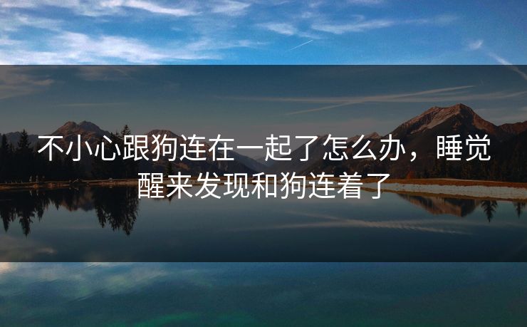 不小心跟狗连在一起了怎么办，睡觉醒来发现和狗连着了